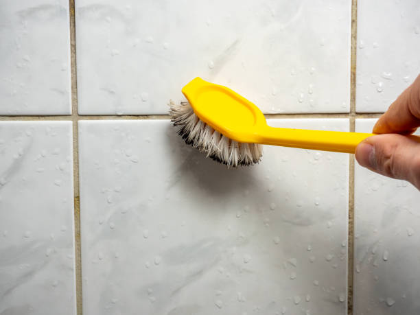 Best Toxic Mold Removal  in Sandusky, MI