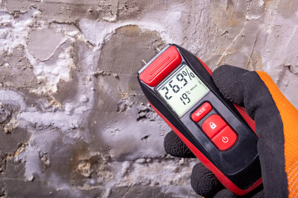 Best Professional Mold Removal  in Sandusky, MI